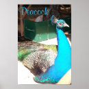 Zoek naar vogelveren posters Elk persoon