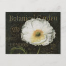 Zoek naar poppy briefkaarten Zwart