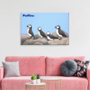 Zoek naar atlantic puffin kunst Wild
