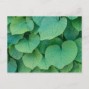 Zoek naar groene bladeren briefkaarten Elk persoon