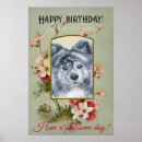 Zoek naar akita hond posters Hoektand