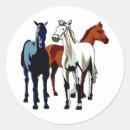 Zoek naar zwarte witte paarden stickers Voor haar