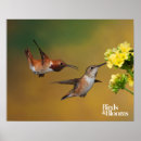 Zoek naar ornithologie posters Vogelnerd