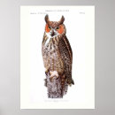 Zoek naar ornithologie posters Vintage