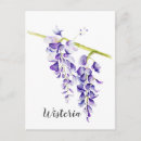 Zoek naar wisteria briefkaarten Botanisch