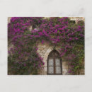 Zoek naar provence briefkaarten Toerisme