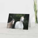 Zoek naar welsh pony kaarten Standje