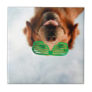 Zoek naar retriever tegels Grappig