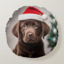 Zoek naar chocolade labrador kussens Puppy