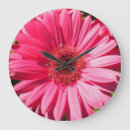 Zoek naar daisy klokken Gerbera
