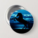 Zoek naar paarden buttons Elk persoon