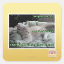 Zoek naar kooi stickers Ik kan cheezburger hebben