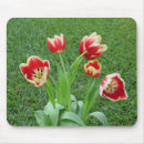 Zoek naar tulpen muismatten Lente