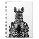 Zoek naar afrika fotografie Safari