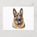 Zoek naar german shepherd briefkaarten Hond