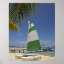 Zoek naar fiji kunst David