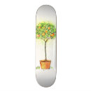 Zoek naar poten skateboards Kleurrijk