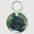 Zoek naar gorilla sleutelhangers Aap