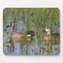 Zoek naar mannetje muismatten Vogel