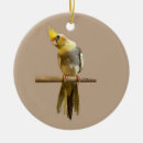Zoek naar cockatiel ornamenten Papegaai