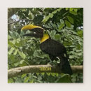 Zoek naar toekan puzzels Vogel