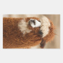 Zoek naar fotografie etiketten Natuur