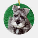 Zoek naar miniatuur ornamenten Schnauzer