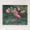 Zoek naar tropische vogel puzzels Flamingoes