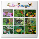 Zoek naar butterfly tegels Zwaluwstaart