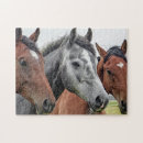 Zoek naar paarden puzzels Schattig