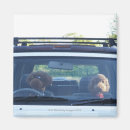 Zoek naar lichaamsdelen magneten Buiten