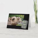 Zoek naar kamelen kaarten Dieren