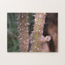 Zoek naar stam puzzels Natuur