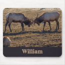 Zoek naar eland muismatten Dieren