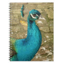 Zoek naar peacock notitieboeken Fotografie