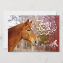 Zoek naar paarden fotokaarten Voor iedereen