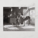 Zoek naar stallen briefkaarten Paard