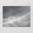 Zoek naar kudde briefkaarten Hemel