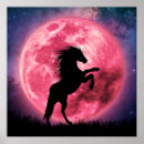 Zoek naar paard silhouet posters Elk persoon