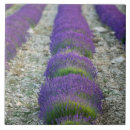 Zoek naar landschaps tegels Europe