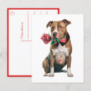 Zoek naar pitbulls briefkaarten Puppy