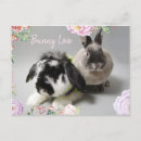 Zoek naar broodjes posters Schattig