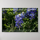 Zoek naar ontwikkeling posters Blauw