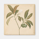 Zoek naar textiel magneten Weefsels