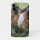 Zoek naar baby schildpad iphone hoesjes Dier