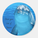 Zoek naar dolfijnen magneten Inspirerend