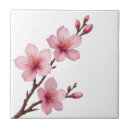 Zoek naar sakura tegels Kersenbloesems