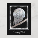 Zoek naar owl briefkaarten Portret