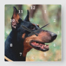 Zoek naar pinscher kunst Doberman