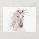 Zoek naar mannetje posters Voor iedereen